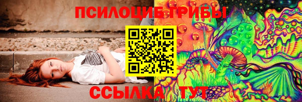 Псилоцибиновые грибы Psilocybine cubensis Джанкой