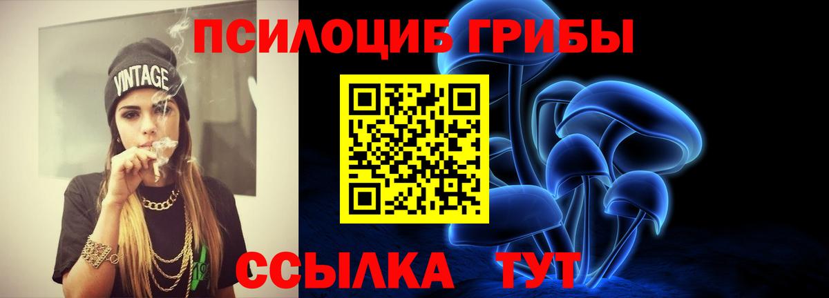 где купить наркоту  Галлюциногенные грибы MAGIC MUSHROOMS  Вход с VPN  Джанкой 
